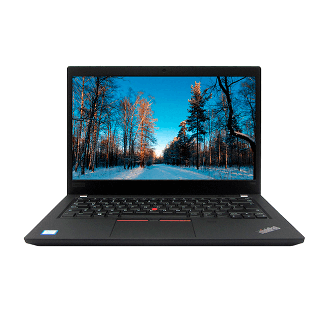 Notebook Lenovo Thinkpad T490